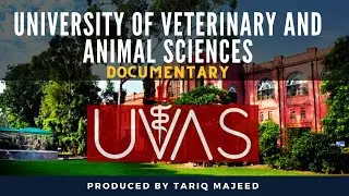 UVAS UNIVERSITY of VETERINARY and ANIMAL SCIENCES Lahore Documentary film by 