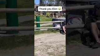 When your Dogecoin crashed 