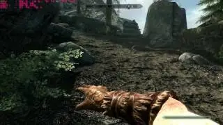The Elder Scrolls V  Skyrim Special Edition:тест производительности 2