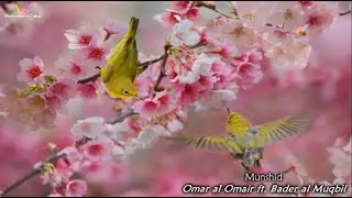 Ana Mithl Tayr - Omar al Omair ft. Bader al Muqbil
