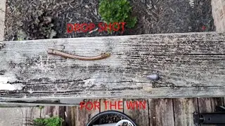 Monster fish on Ultralight Tackle