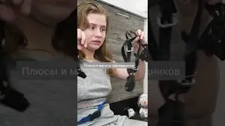 Собака лает или подбирает? В начале дрессировки может помочь намордник. Научите носить!