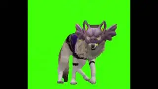 green screen wolf!