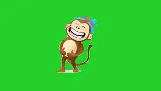 Monkey Funny Green Screen