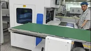 Automatic Full Page Stripping & Blanking Machine With Auto Loader/Auto collection/Auto Palletizing