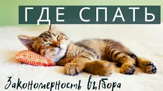 Где спать. Закономерность выбора.
