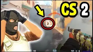 CS2 FACEIT ELO GRINDER