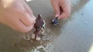 LPS фильм 