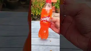 Campa Popsicle | instant Campa Popsicle | #shorts #ytshorts #trending #viralvideo