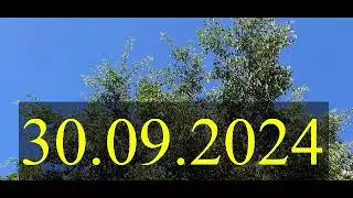 🔥30 September 2024