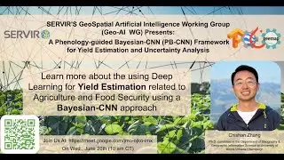 A Phenology-guided Bayesian-CNN (PB-CNN) Framework for Yield Estimation and Uncertainty Analysis