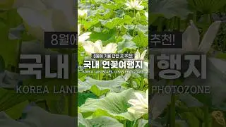 연꽃이 아름다운 국내여행지 추천🔥