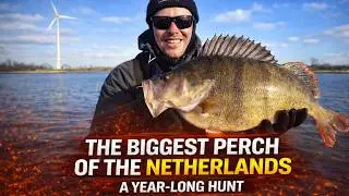 🎣 The Hunt for a Perch of a Lifetime