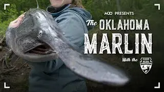 The OKLAHOMA MARLIN. (The Prehistoric Paddlefish/Spoonbill)