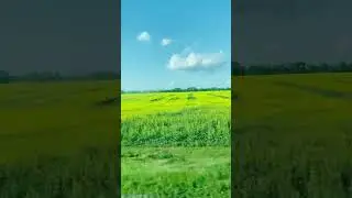 21 октября 2023 г.