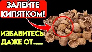 НЕ Мусор, а Лекарство на ВЕСЬ ЗОЛОТА! Как ПРАВИЛЬНО Использовать скорлупу Грецких Орехов