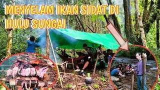 KEMPING BANJIR || BONGKAR TENDA DIMALAM HARI #menyelamikan#borneo #petualang #ikandewa