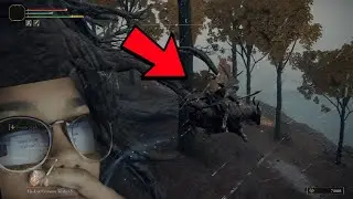 Fall Damage In Elden RIng Doesn't Make Any Sense.