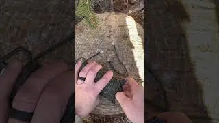 Unbelievable Transformation: 550 Paracord Organized in Seconds! 