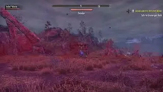ESO speedy horrowstorm