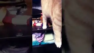 ьыаопшкюрадакдлкг