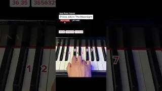 Hoe to play: „Praise Jah In The Moonlight“ by YG Marley #pianotutorial #learnpiano #easypiano