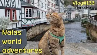 NALA exploring Monschau 😻 Vlog 