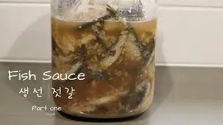 Fish Sauce : 생선 젓갈 [Part 1]