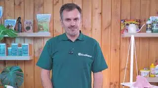 Школа ОЖЗ: Подзимняя посадка чеснока, лука и перенос огорода на подоконник