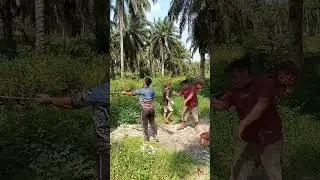 PAKAI TANGAN SATU MUATNYA‼️MANTAP#shorts