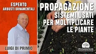 What are the plant propagation systems?
