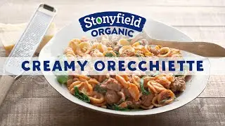 Creamy Orecchiette (Mission Protein: Dinner)