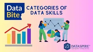 Data Bite: Categories of data skills