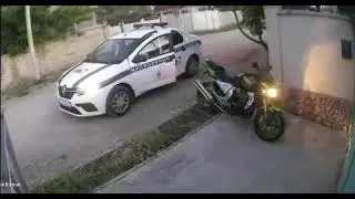 Dogs vs police 