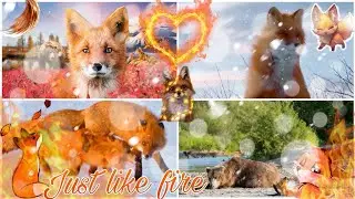 часть на мер огненный лис Just like five 🦊🔥  @grafvampireanimash4973