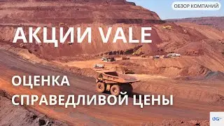 VALE. Справедливая цена акций.