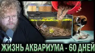 T2X2 СМОТРИТ БОЛОТО В АКВАРИУМЕ - 60 ДНЕЙ