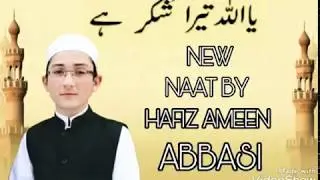 NEW HAMD / BY HAFIZ AMEEN ABBASI