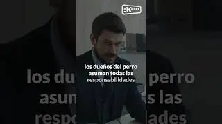 Mujer lucha por su vida tras ser arrollada por un perro en Zipaquirá
