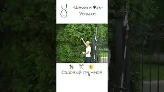Садовый грумер - обрезка деревьев