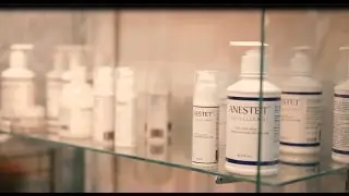 Anestet Professional: презентация продукта на ИШ 2016
