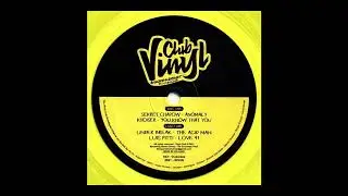 Luis Pitti - Love 91 (Original Mix)