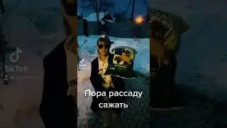 Пора рассаду сажать