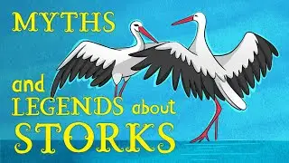 MYTHS AND LEGENDS ABOUT STORKS | Animation Story by #MobyArt