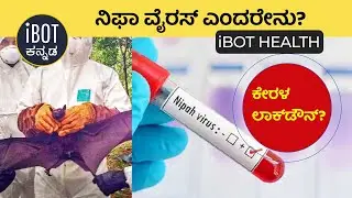What is Nipha Virus what are the symptoms Explained #kannada #ibotkannada #facts #india