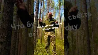 что будет если съесть волчью ягоду (не повторять опасно)