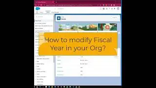 How to modify Fiscal Year in your Org?