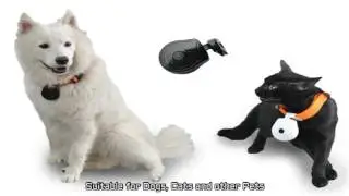 Digital Mini Pet Cam