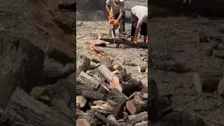 Видео подписчика , аккумуляторная пила PIT в деле ;)