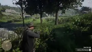 Red Dead Redemption 2 - But why did the deer defend a dead squirrel?